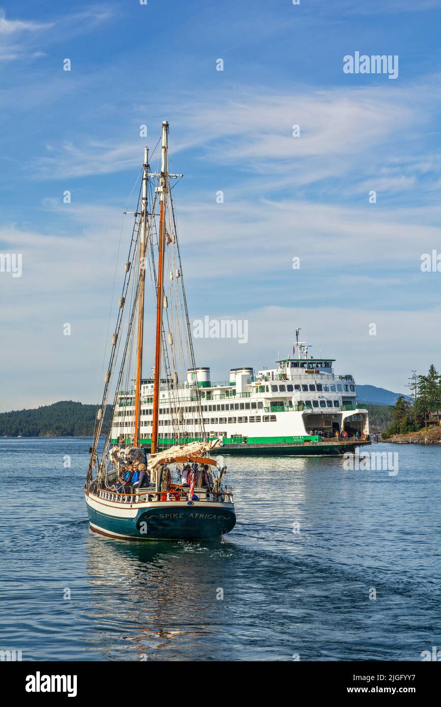 Washington, San Juan Islands, Washington State Interisland Ferry, commercial cruise sailboat Stock Photo