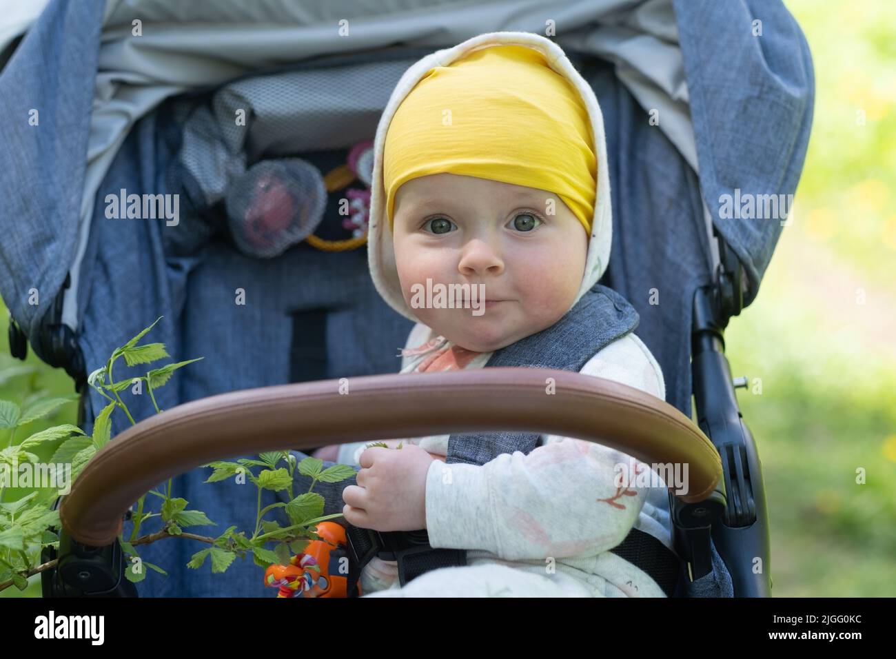 Baby girl sitting in a stroller looking on green leaves. Stock Photo