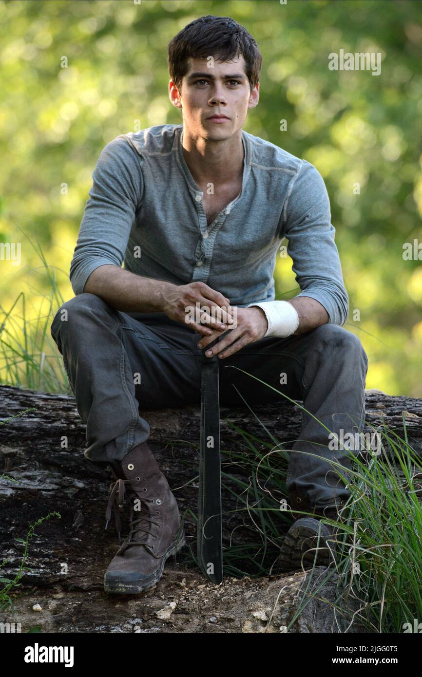 DYLAN O'BRIEN, THE MAZE RUNNER, 2014 Stock Photo Alamy