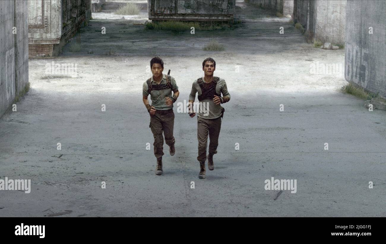 KI HONG LEE, DYLAN O'BRIEN, THE MAZE RUNNER, 2014 Stock Photo Alamy