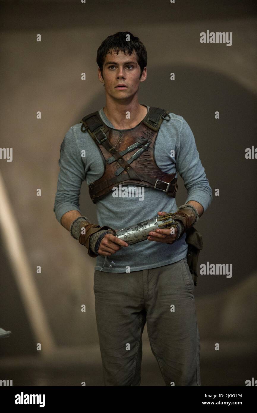 DYLAN O'BRIEN, THE MAZE RUNNER, 2014 Stock Photo