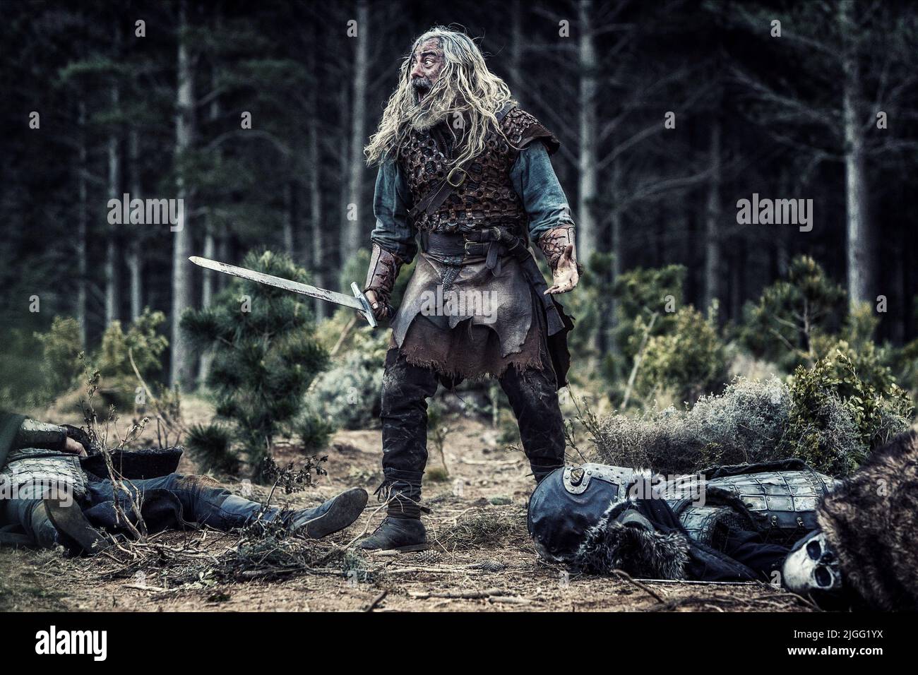 DARRELL D'SILVA, NORTHMEN: A VIKING SAGA, 2014 Stock Photo - Alamy