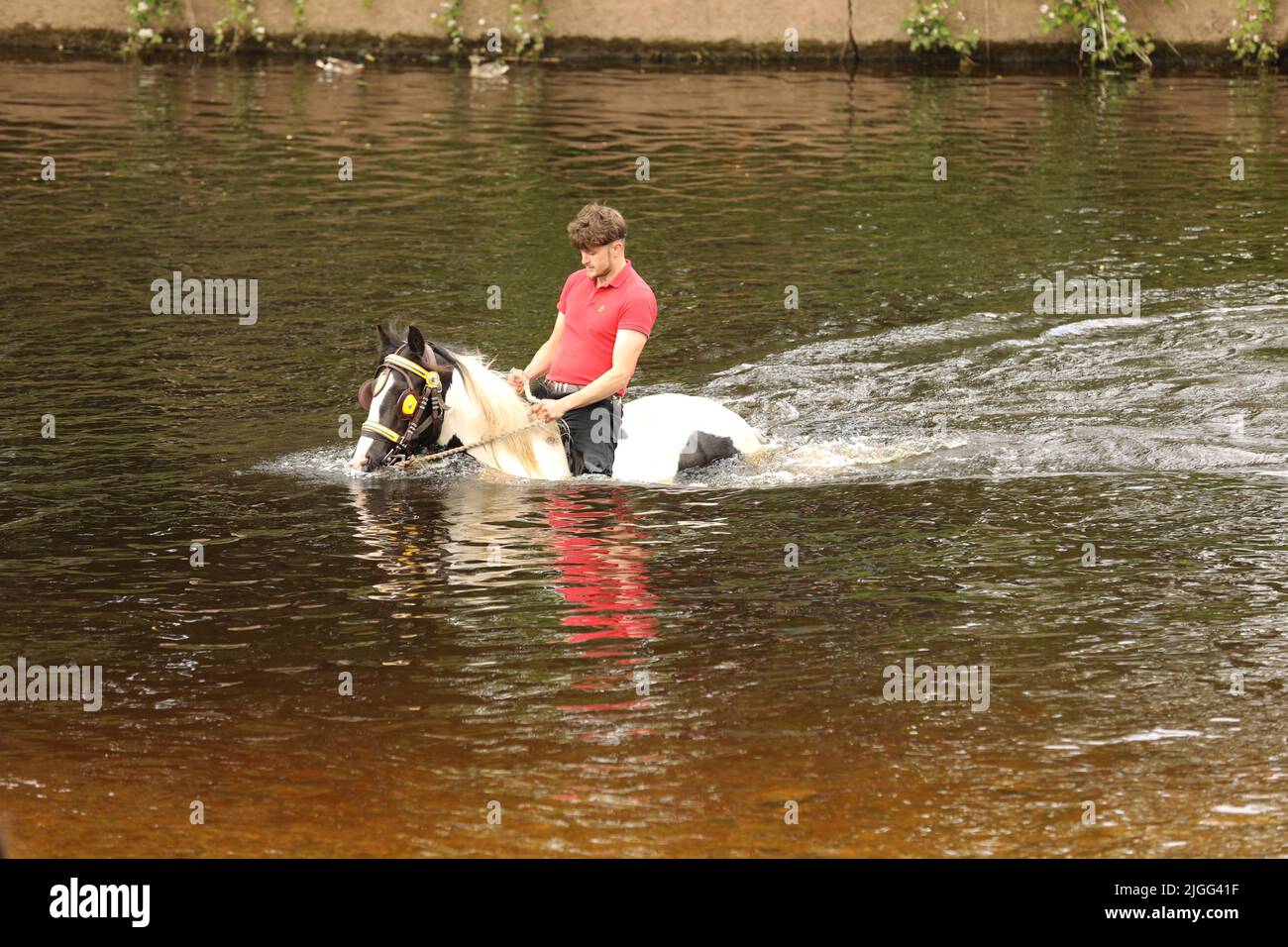 A young man riding his horse in the River Eden, Appleby Horse Fair, Appleby in Westmorland, Cumbria Stock Photo
