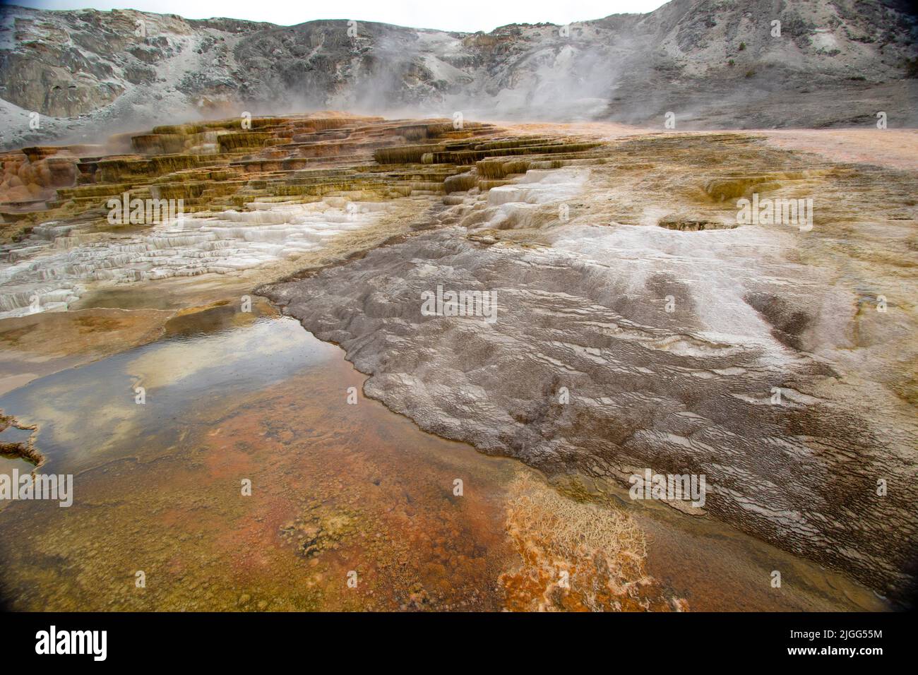 Colorful mineral deposits form the Main Terrace at Mammoth Hot Springs in Yellowstone NP, WY, USA. Stock Photo