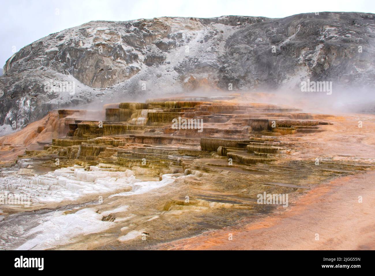 Colorful mineral deposition at the Main Terrace of Mammoth Hot Springs in Yellowstone NP, WY, USA. Stock Photo