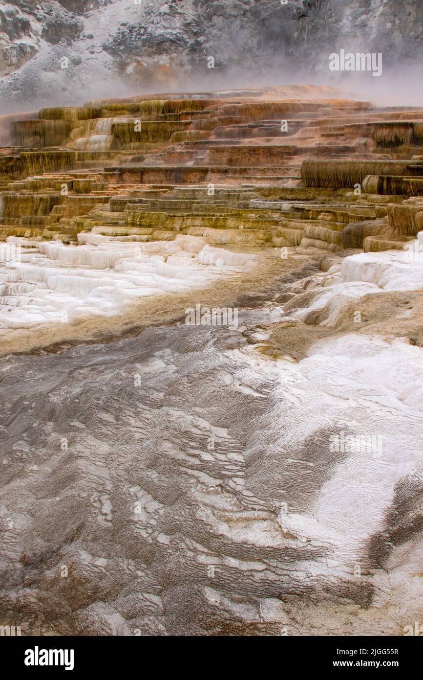 Mineral depostion creates colorful terraces at Mammoth Hot Springs in Yellowstone NP, WY, USA, pre-closure, 5/22 Stock Photo