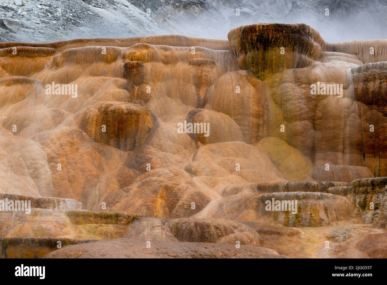 Mineral depostion creates colorful terraces within the Main Terrace of Mammoth Hot Springs in Yellowstone NP, WY, US. Stock Photo