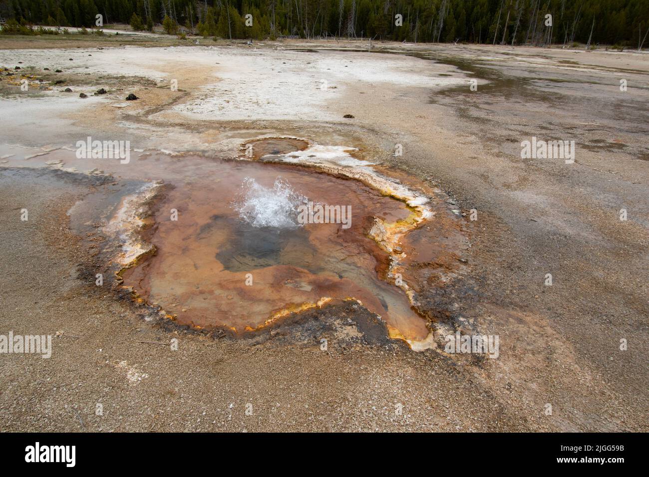 Cliff Geyser at Black Sand Basin in Yellowstone NP, WY, USA. Stock Photo