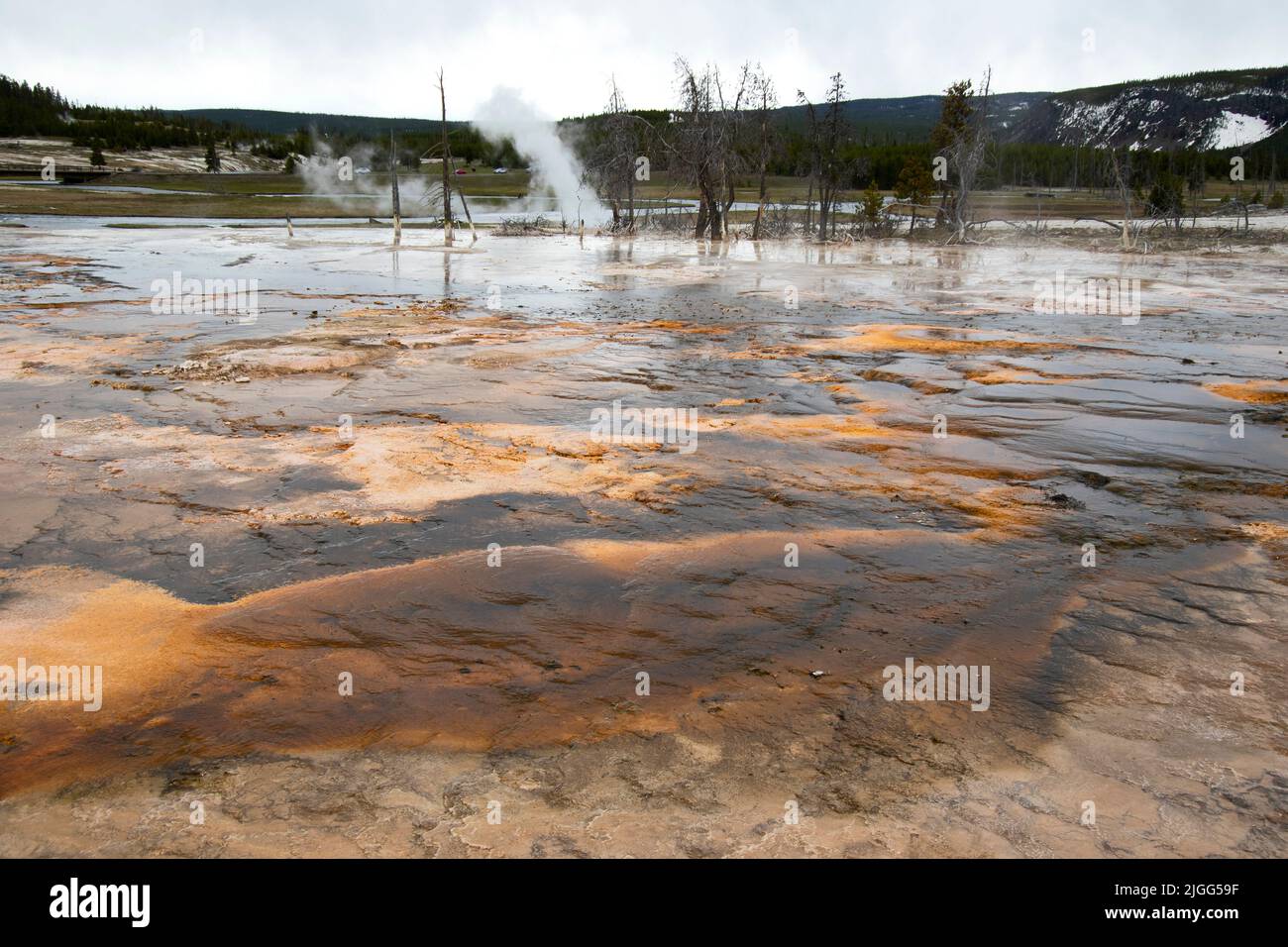 Spouter Geyser at the Black Sand Basin in Yellowston NP, WY, USA. Stock Photo