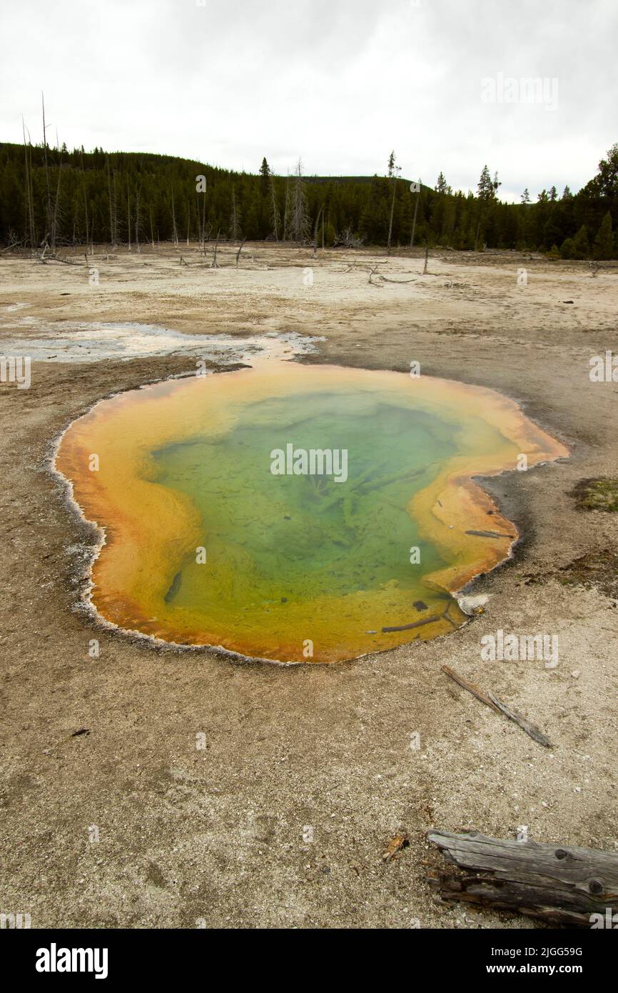 The colorful Turquoise Pool in Midway Geyser Basin of Yellowstone NP, WY, USA. Stock Photo