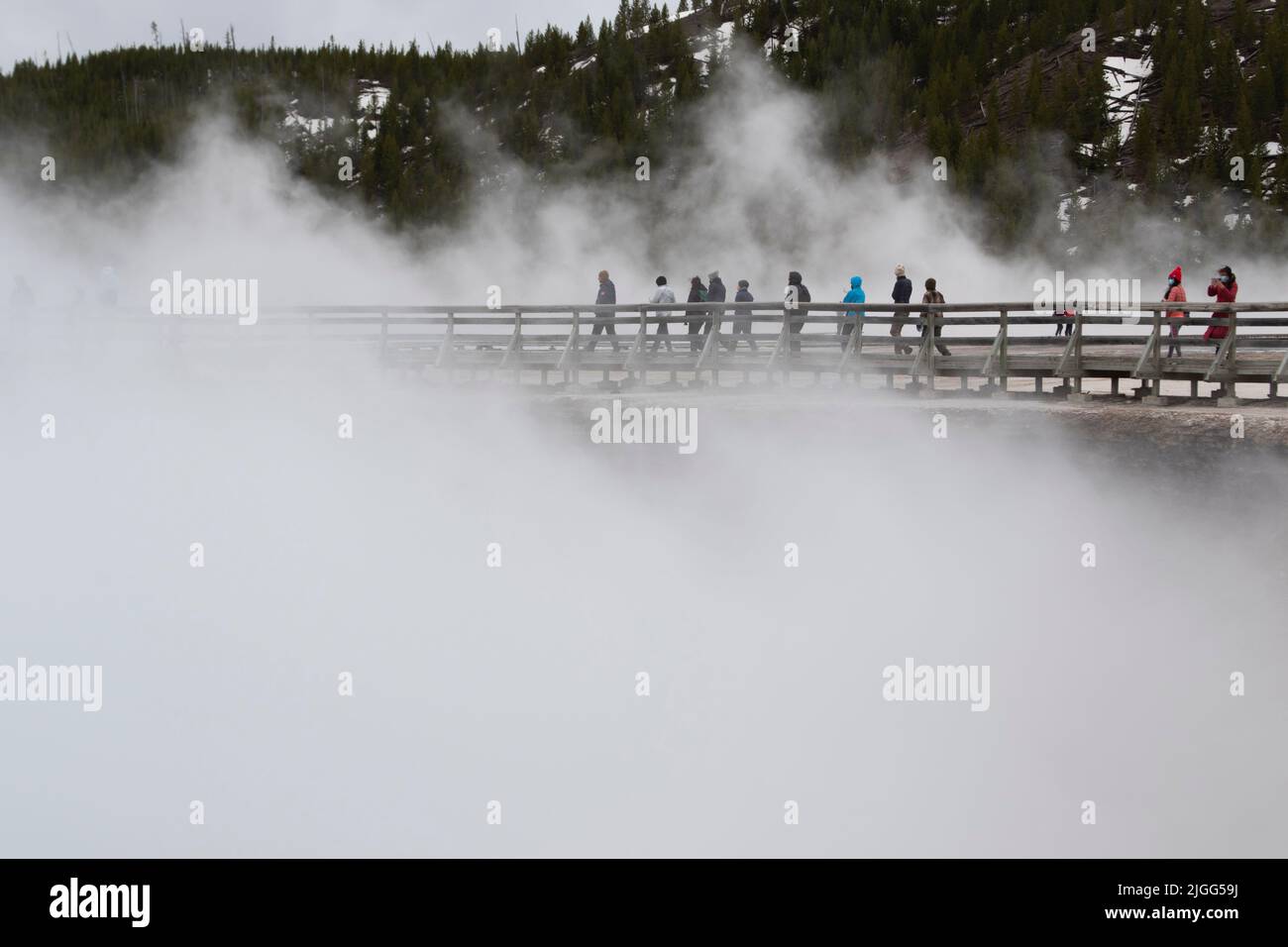 Guided tour group uses boardwalk at the steamy hot Grand Prismatic Spring in Midway Geyser Basin, Yellowstone NP, WY, US. Stock Photo