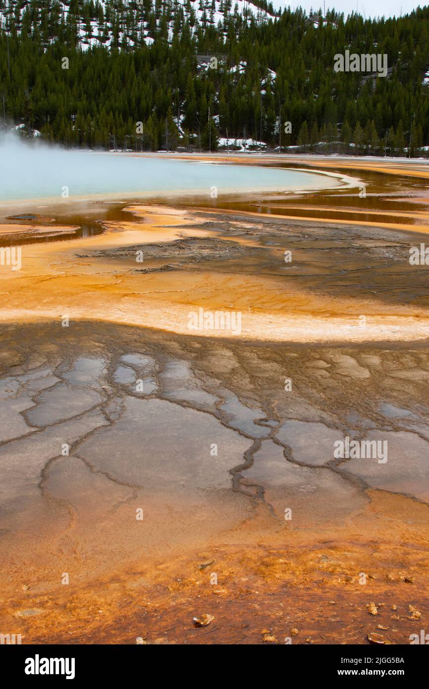 The colorful and steamy Grand Prismatic Spring in Yellowstone NP's Midway Geyser Basin on a cold, mid-May afternoon. Stock Photo
