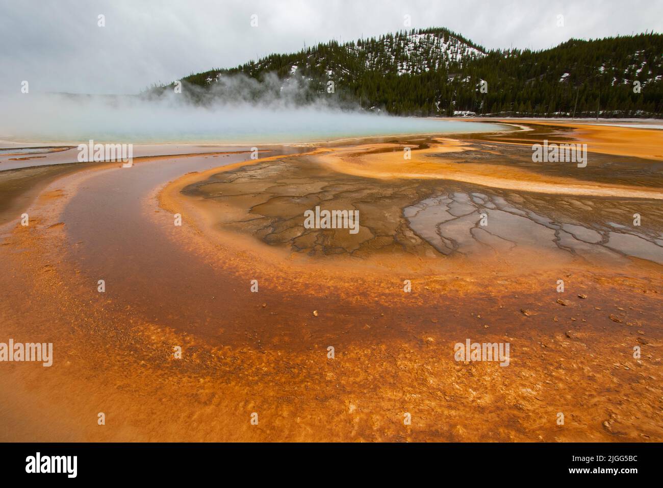 The colorful and popular Grand Prismatic Spring in Yellowstone NP's Midway Geyser Basin, WY, USA. Stock Photo