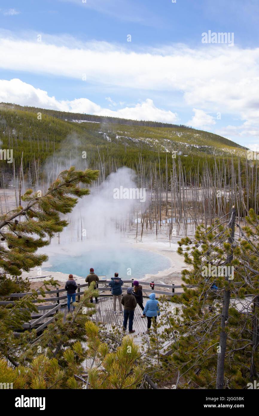 Tourists view Emerald Spring in the Back Bay of the Norris Geyser Basin in Yellowstone NP, WY, USA. Stock Photo