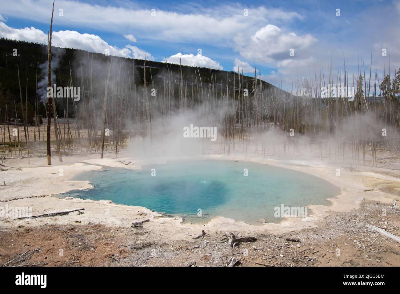 Emerald Spring Geyser, located in the Back Basin of the Norris Geyser Basin in Yellowstone NP, WY, USA. Stock Photo