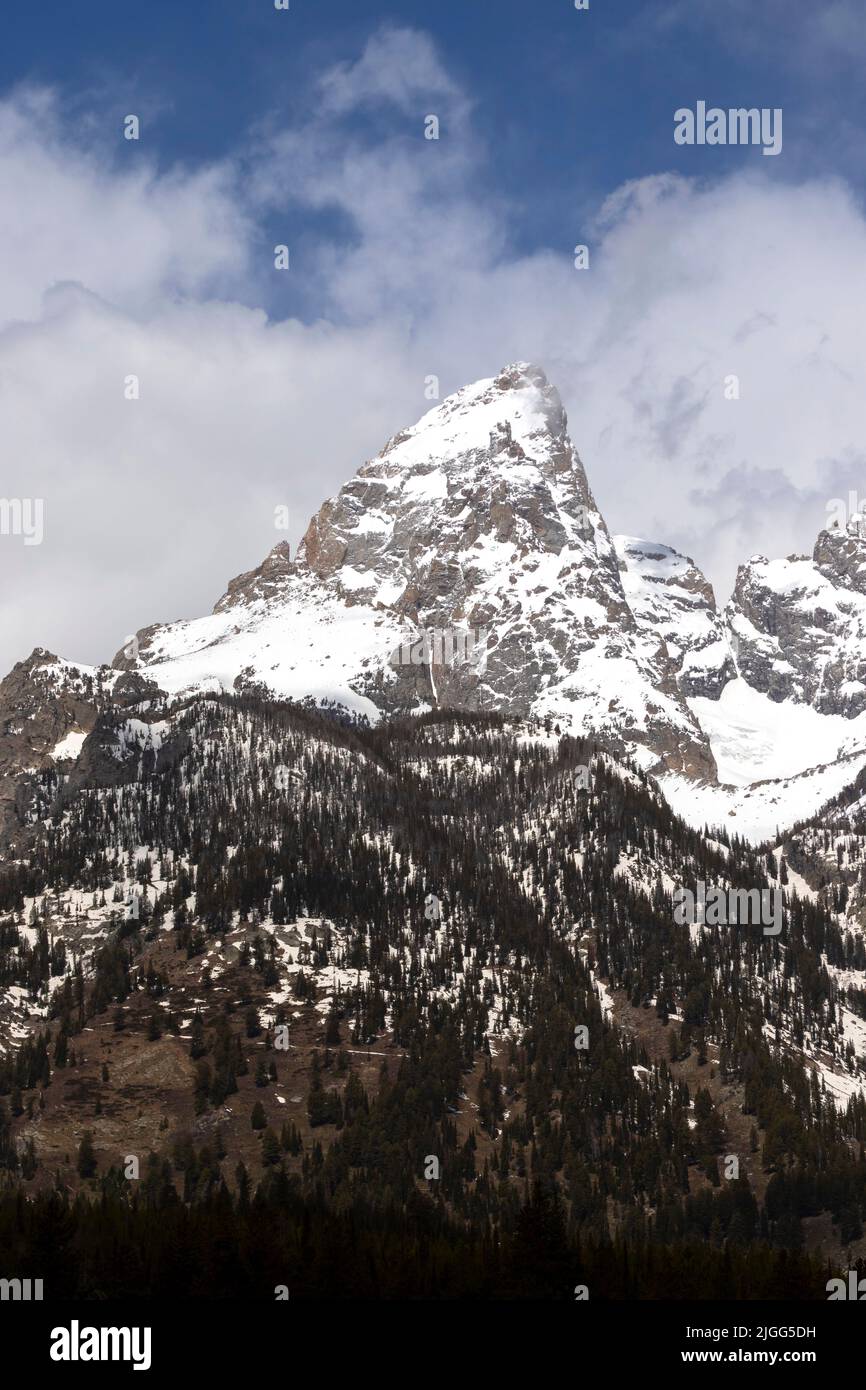 Grand Teton NP's tallest and snow-covered peak, Grand Teton, 13,775 feet, towers against a blue WY sky. Stock Photo