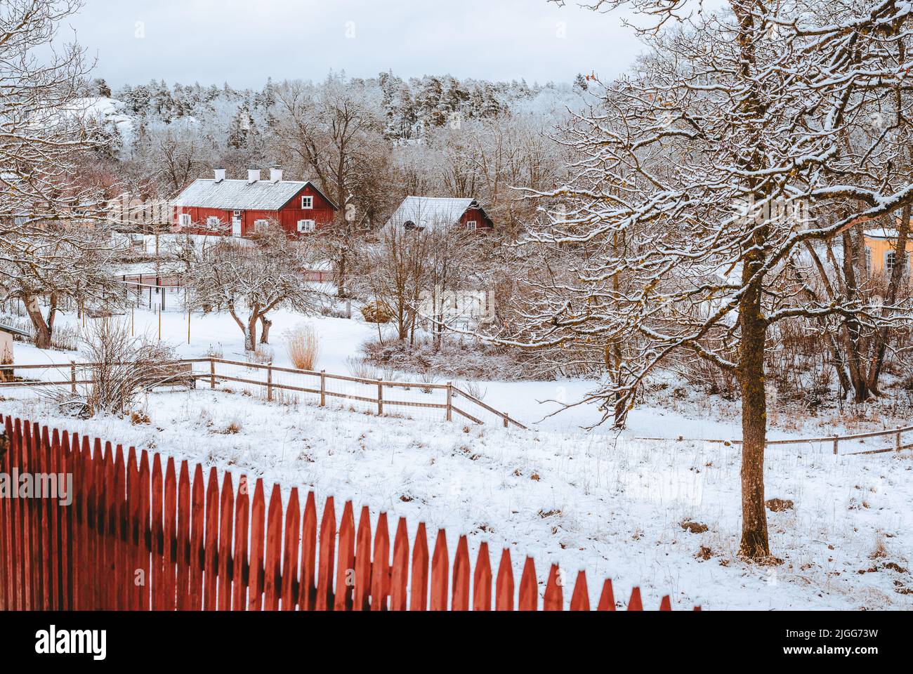 Winter landscape with buildings and trees, Nacka, Stockholm, Sweden ...
