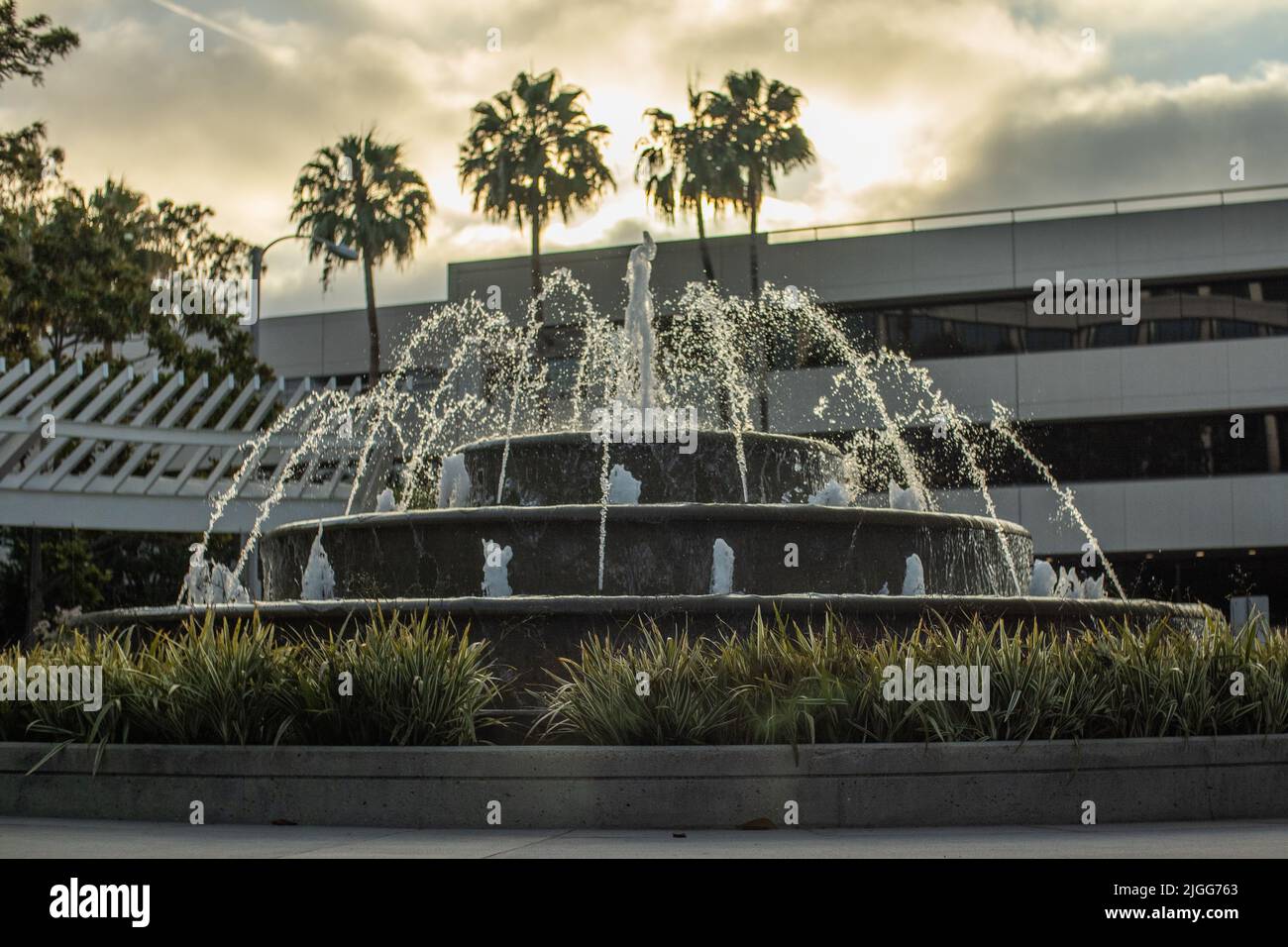 A water fountain in a park in Santa Monica Stock Photo Alamy