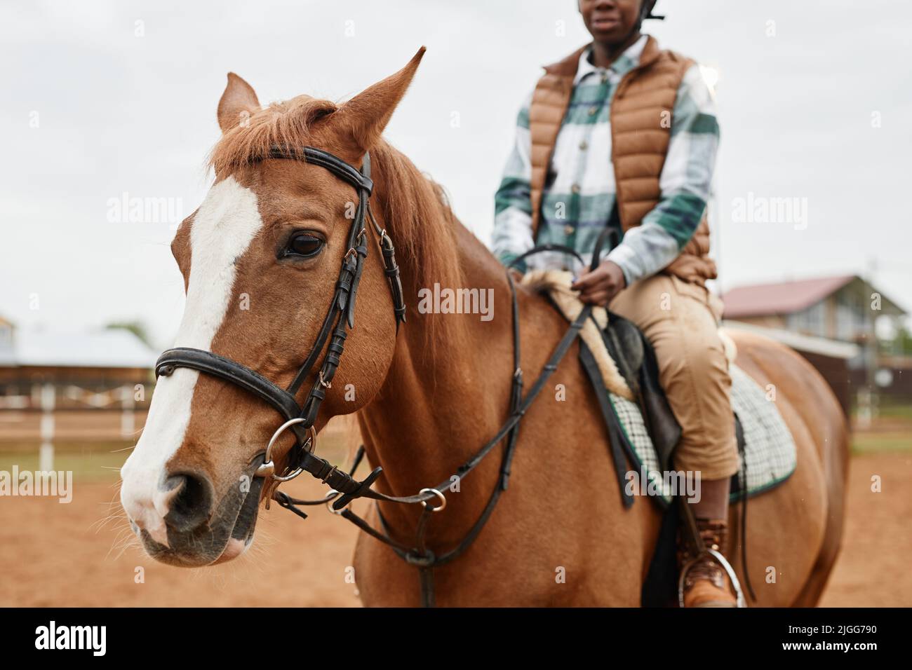 Portrait of beautiful brown horse with female rider at horse ranch ...