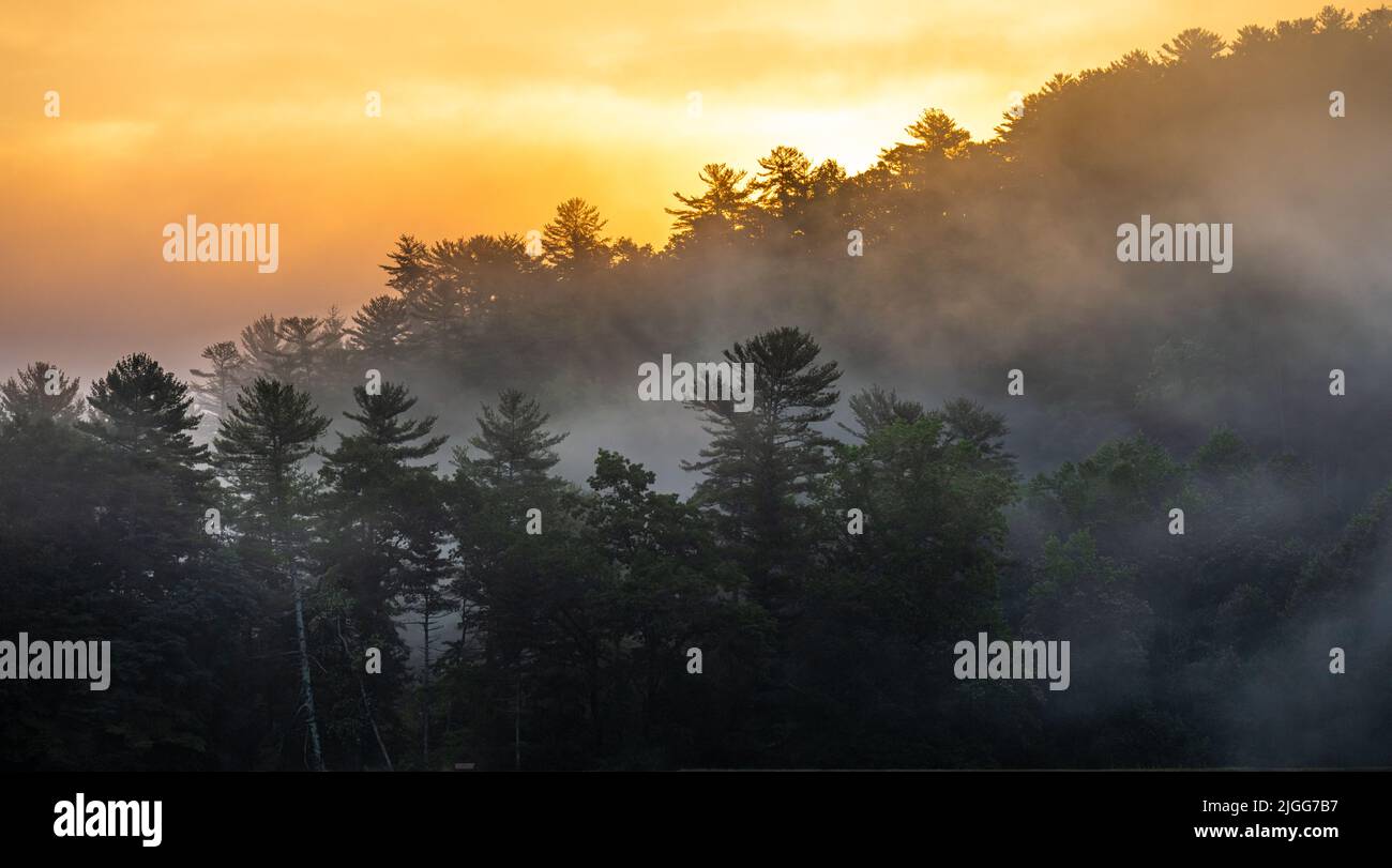 Dramatic sunrise with mountain mist along the shoreline of Lake Trahlyta at Vogel State Park in Georgia's Blue Ridge Mountains. (USA) Stock Photo