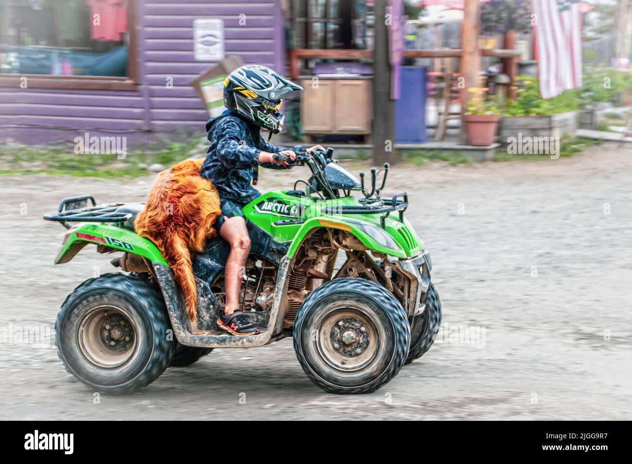 06-26-2002 Talkeetna Alaska USA - Child in helmet  drdivng green four wheeler with dog draped across back of seat in the funky little frontier town of Stock Photo