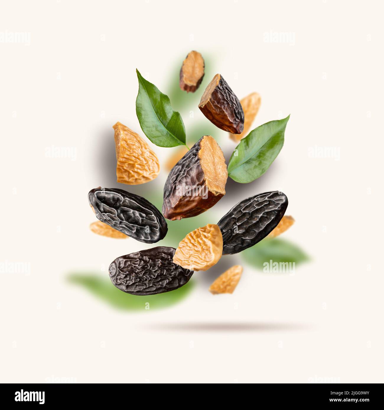 Tonka beans and green leaves float on a light beige background. Flying Dipteryx odorata for