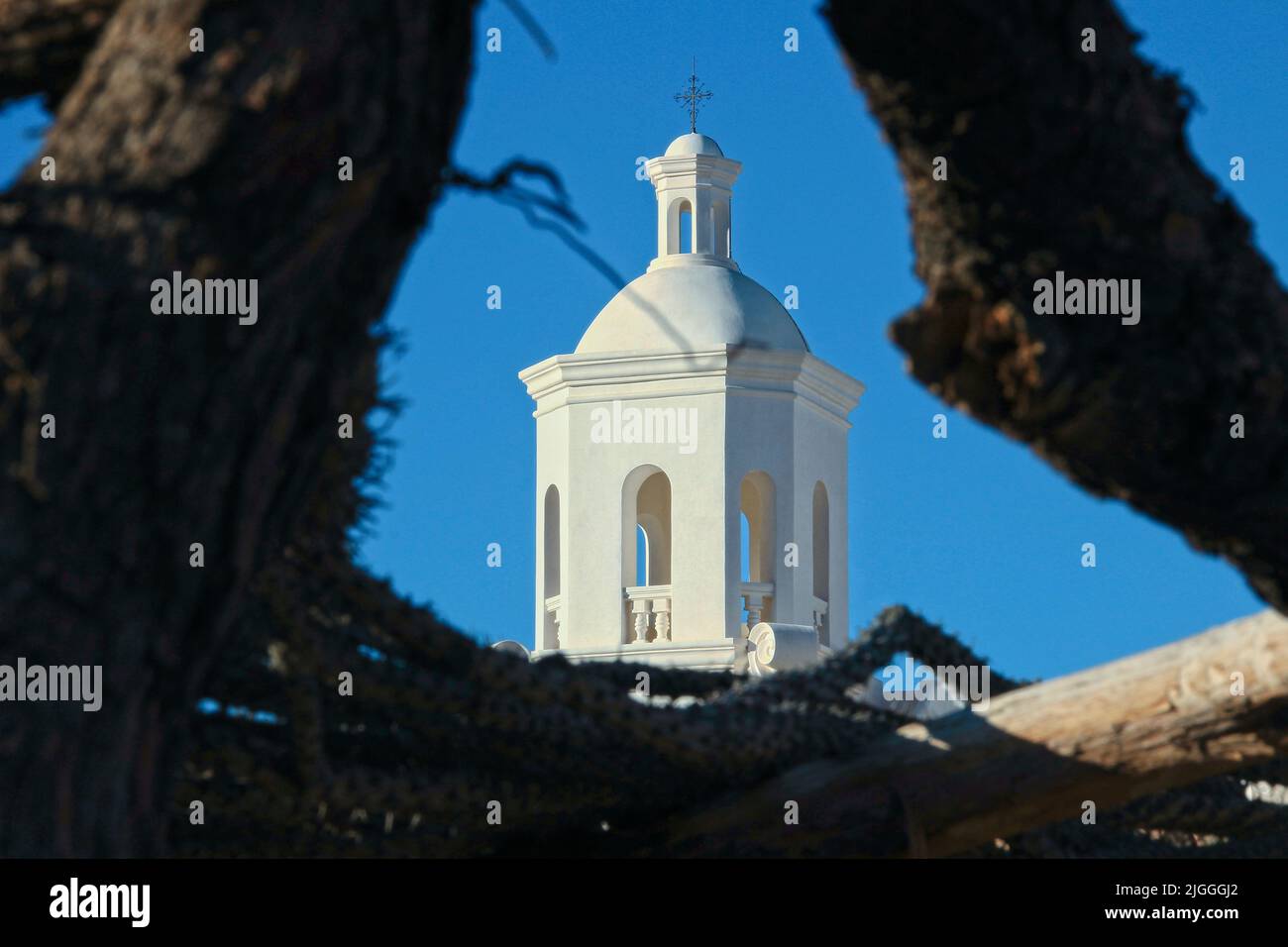 San Xavier del Bac Mission in Tucson Arizona. Framed by branches the cupola is the highest point on the mission and is topped by a cross. Stock Photo