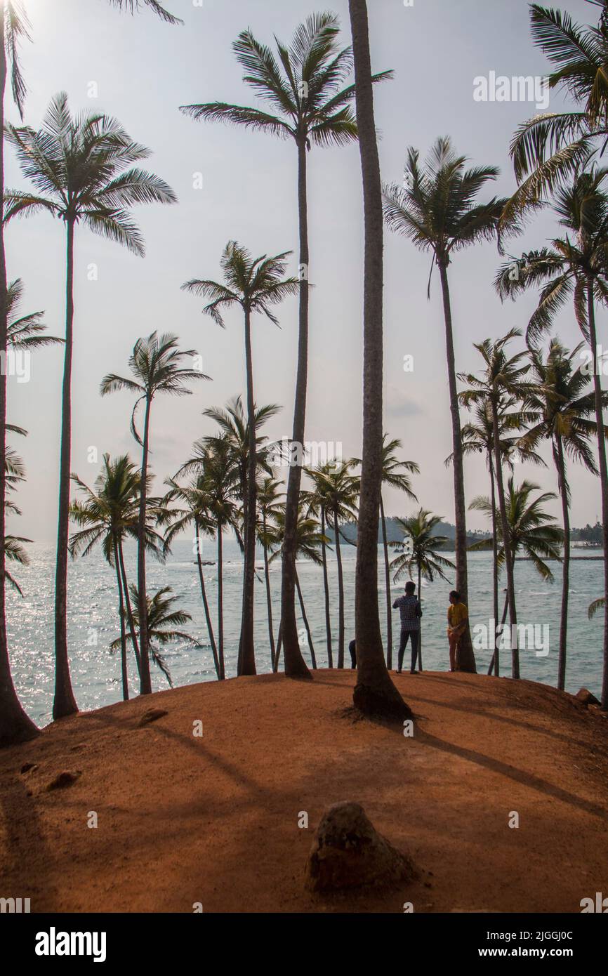 Coconut hill beach, Mirissa, Si Lanka Stock Photo Alamy