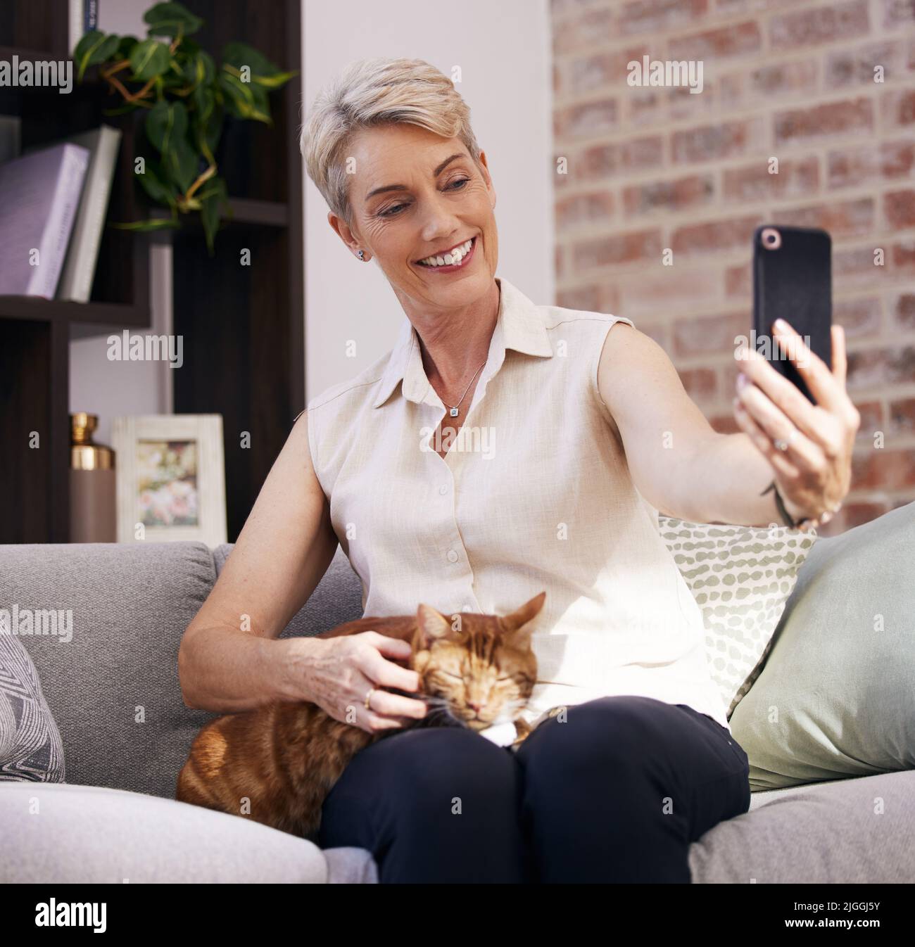Mature woman at home with pet hi-res stock photography and images - Alamy