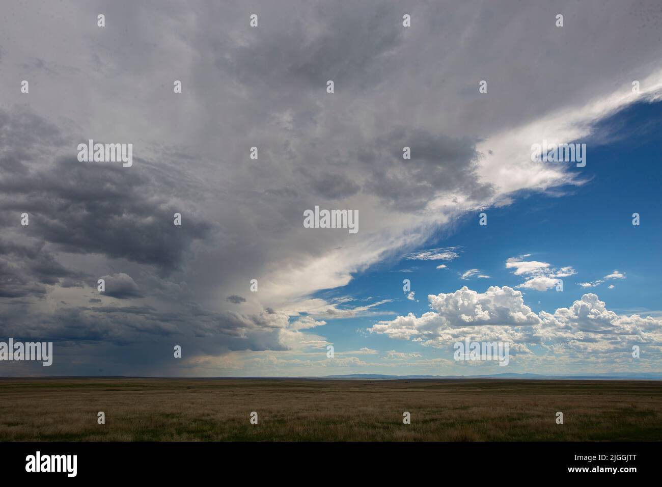 Springer new mexico hires stock photography and images Alamy