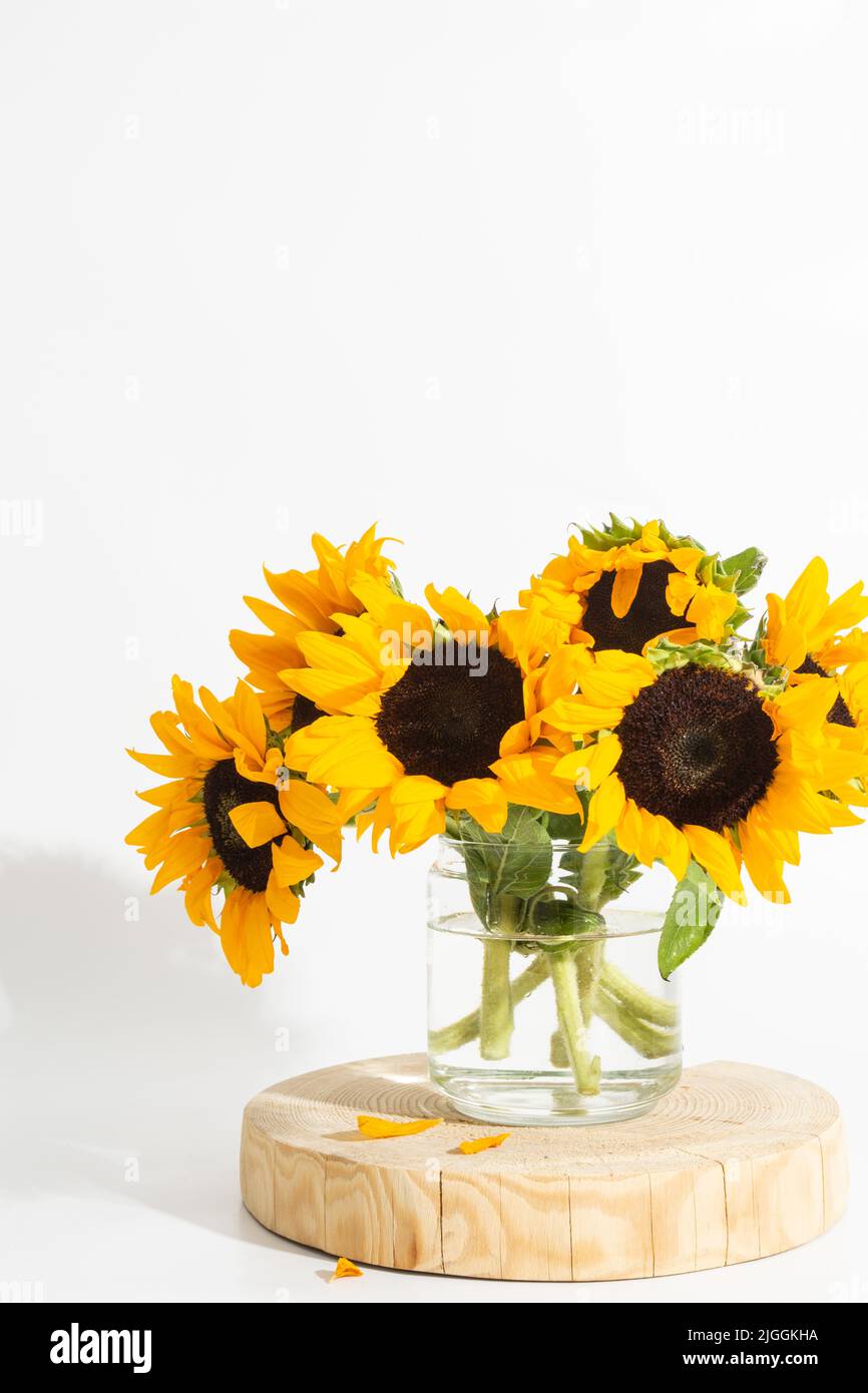 Bright sunflowers in glass vase on white background Stock Photo - Alamy