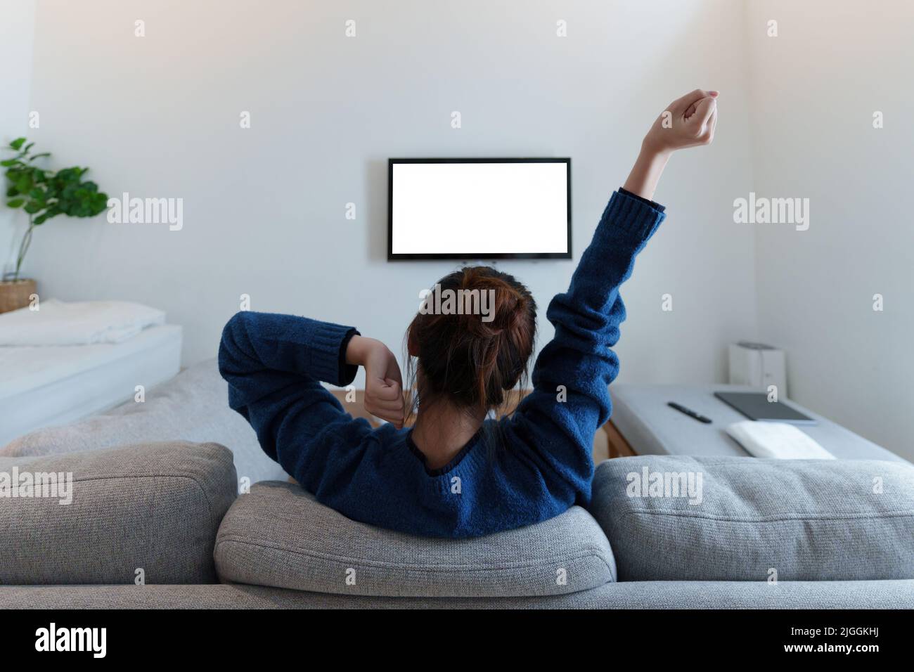 Excited, happy modern woman watch world cup football match, championship on the couch at home. Sport, TV, having fun. Stock Photo