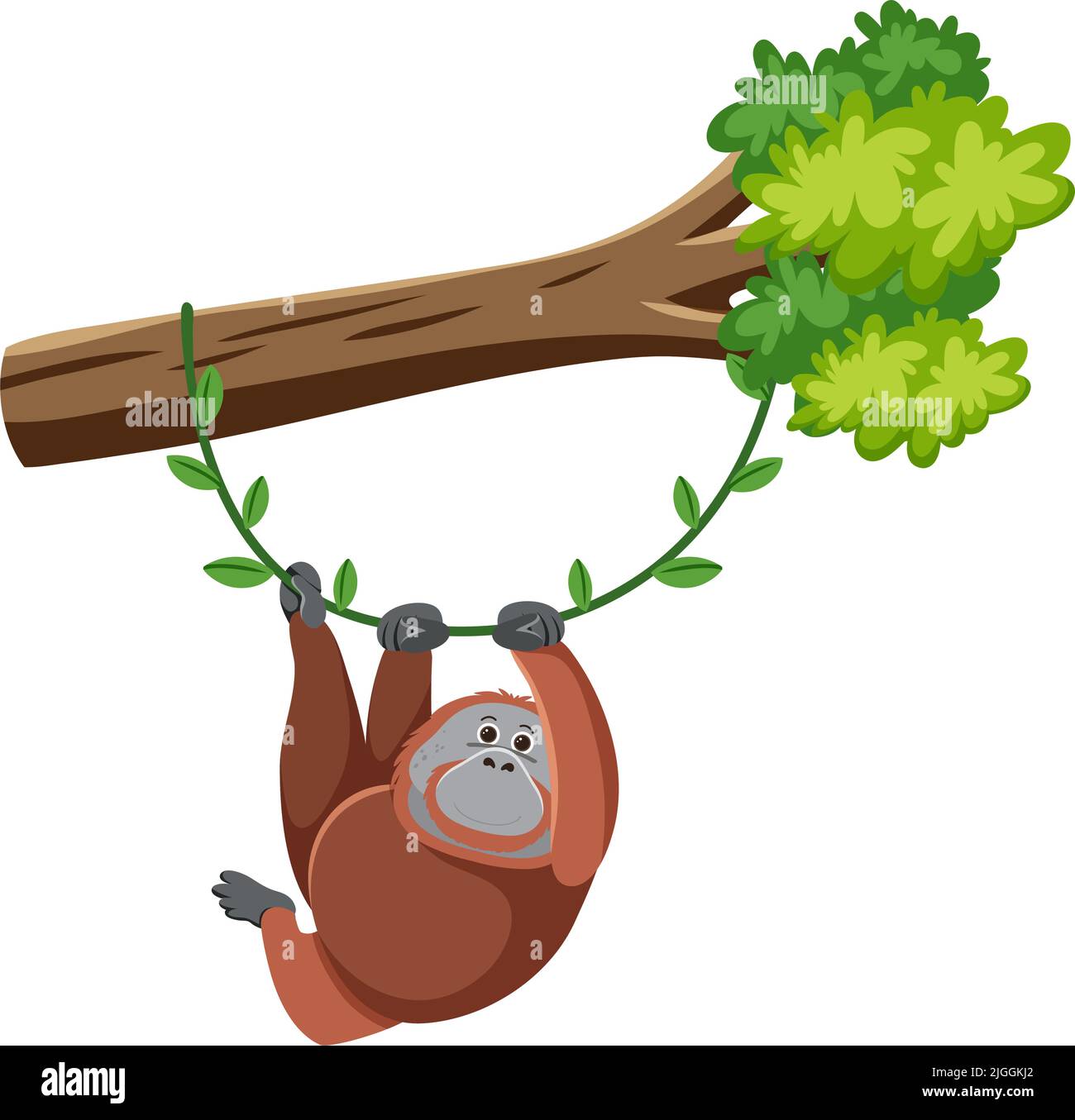 Orangutan hanging on tree illustration Stock Vector Image & Art - Alamy