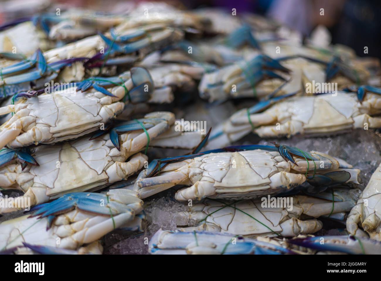 Freshly caught crab on the counter of a fishmonger in Kuala Lumpur