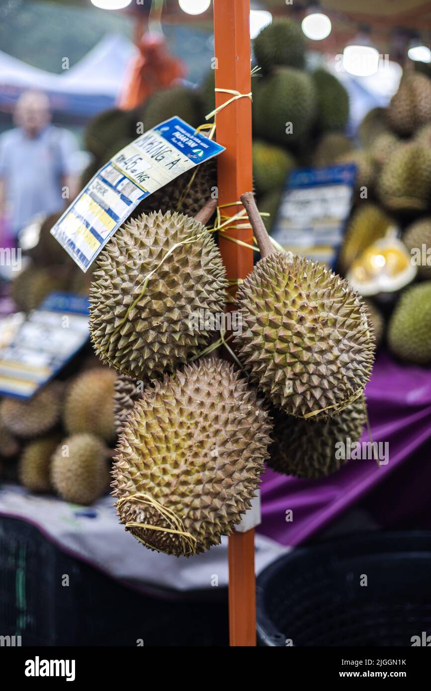 Durians at a fresh market in the Malaysian capital of Kuala Lumpur. The strong smelling fruit with its prickly skin and yellow pulp. Durian traditiona Stock Photo