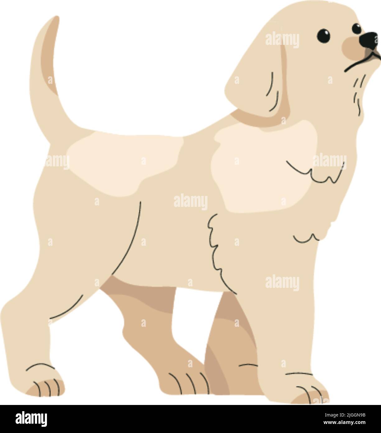 Labrador puppy, canine animals, domestic pets Stock Vector Image & Art ...
