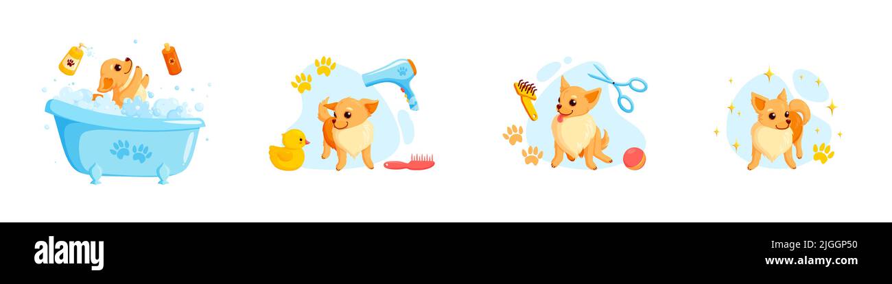 Dog grooming in a bath with pet shampoo, combs and rubber ducks. Playful chihuahua puppy in grooming service. Vector illustration in cute cartoon Stock Vector