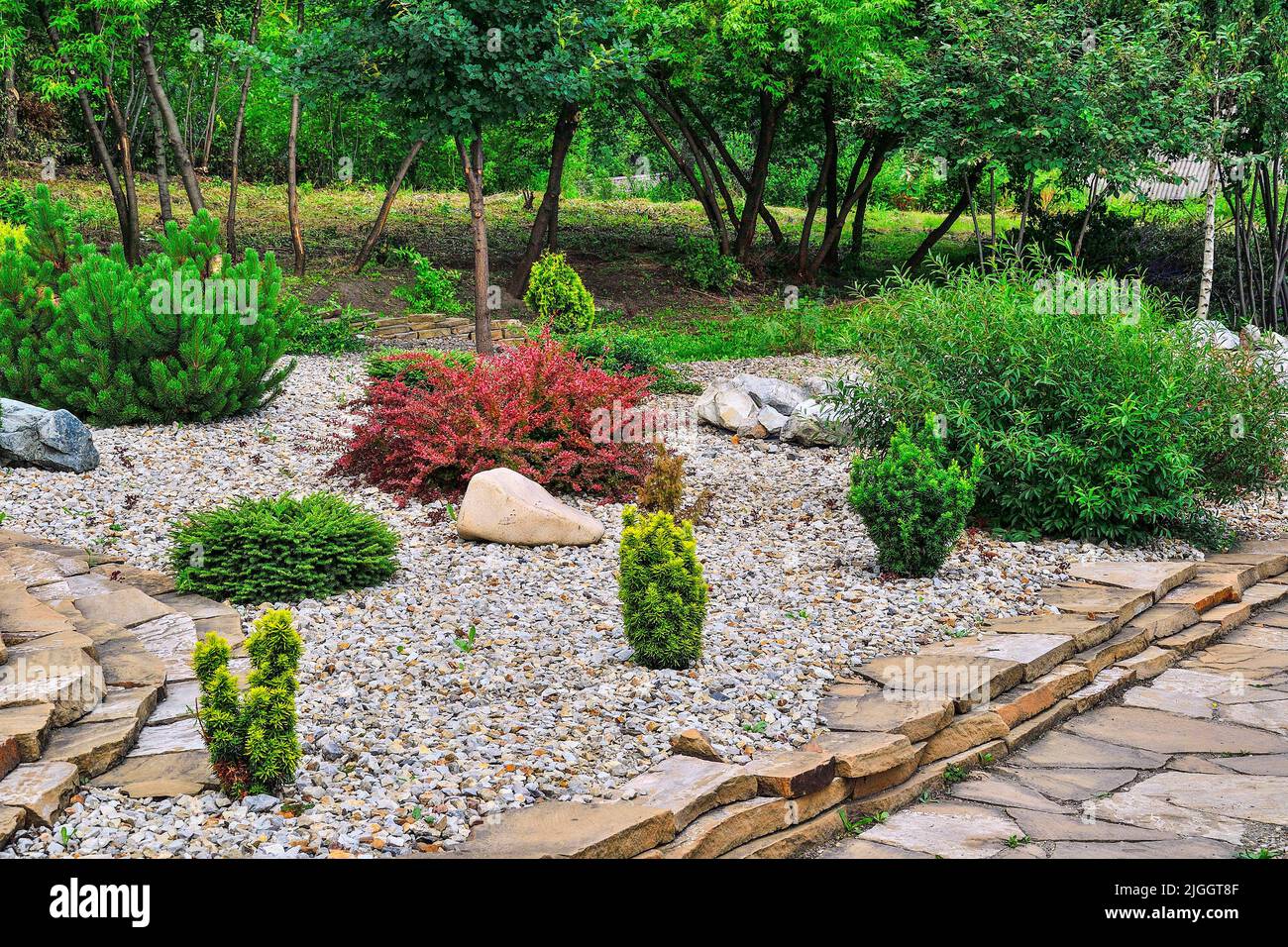 Corner of ornamental stony garden with various dwarf coniferous shrubs and deciduous bushes: yews, spruce and pine, barberry thunberg plant with red l Stock Photo