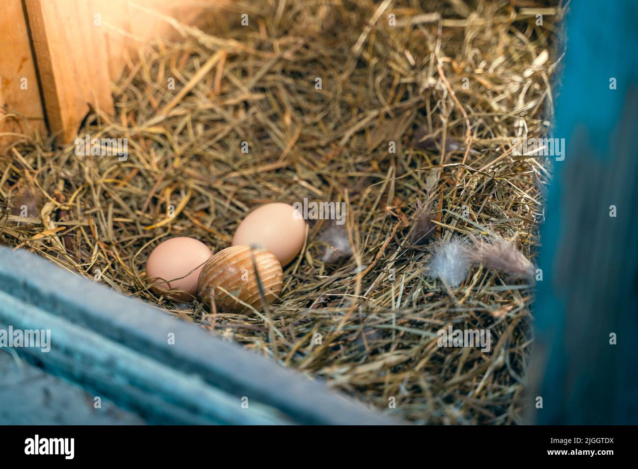 Homemade chicken eggs lie in a straw nest with a wooden egg Stock Photo ...
