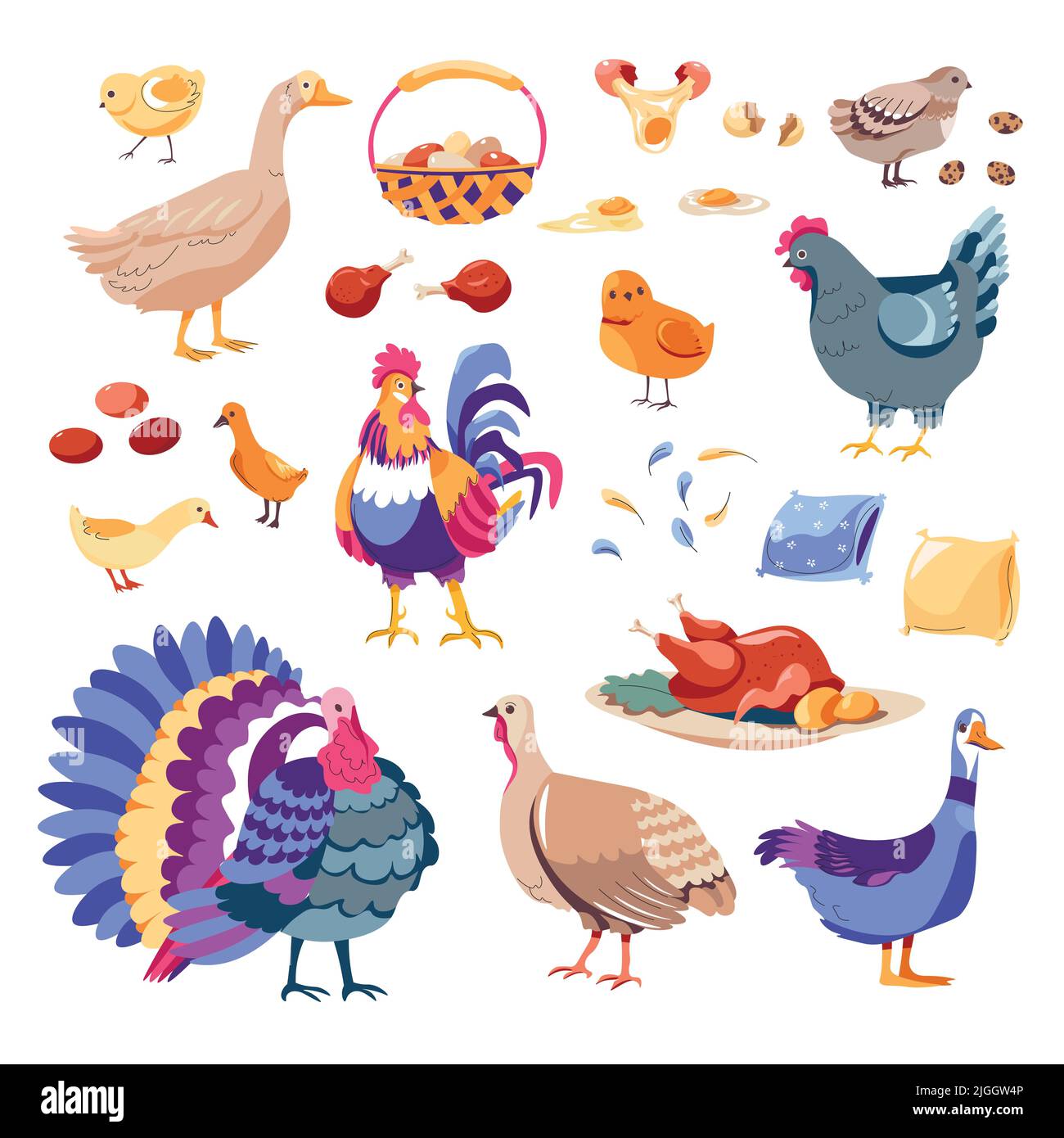 Chicken and turkey, goose and hen, farm animals Stock Vector Image