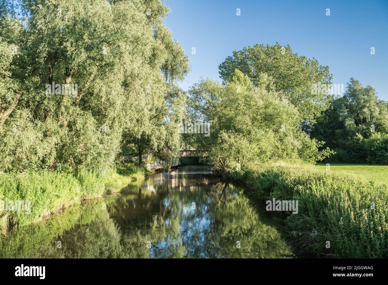 Nantwich Mill Island bridge over River Weaver sunny evening landscape