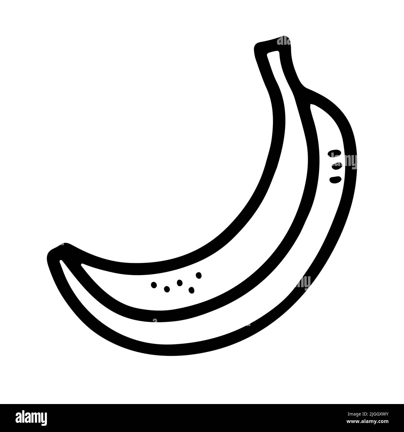 Doodle outline tropical banana. Hand-drawn fresh natural exotic fruit isolated on white background. Line healthy vegetarian food, vitamin, delicious o Stock Vector