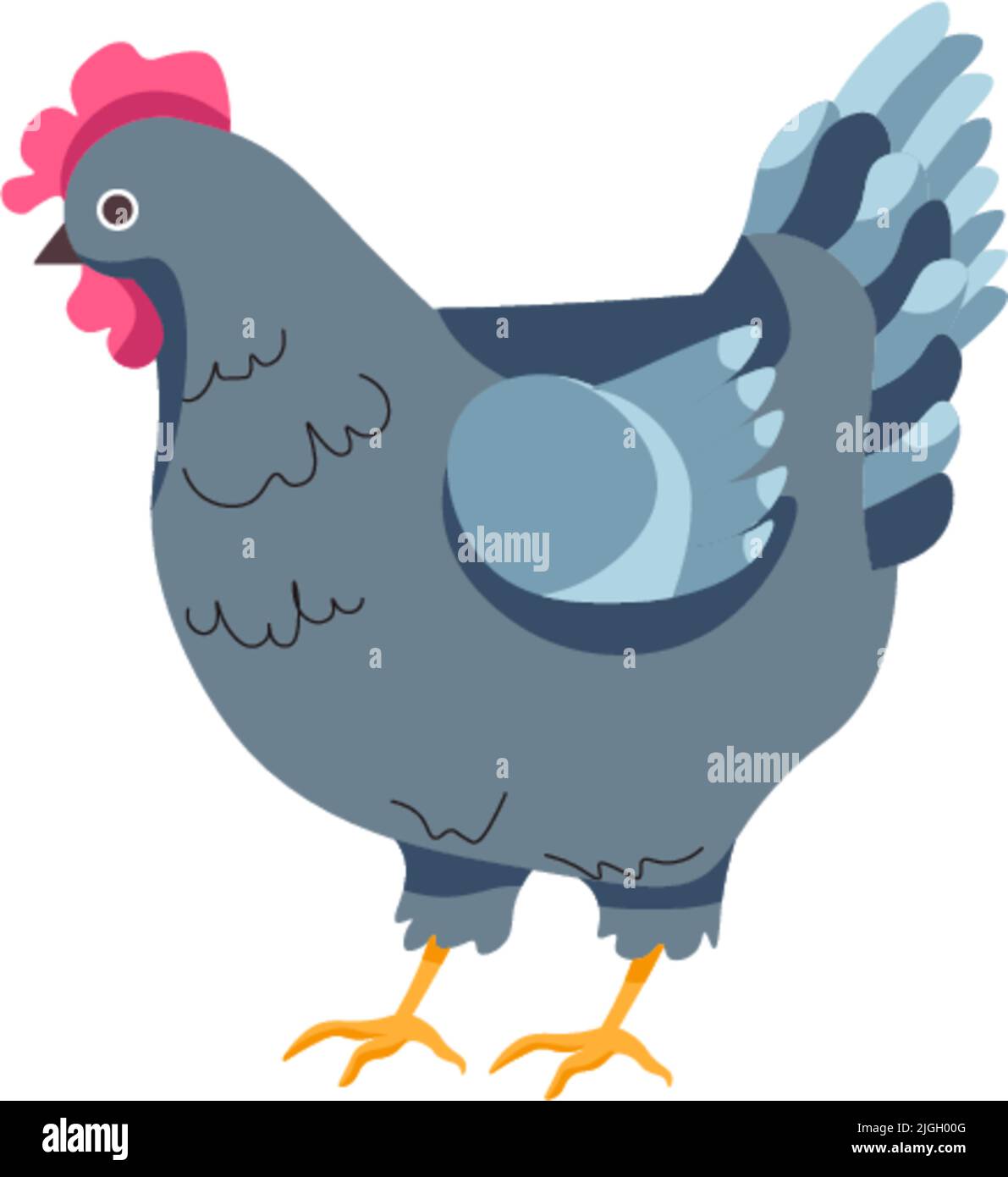 Hen chicken, breeding and growth on farm vector Stock Vector