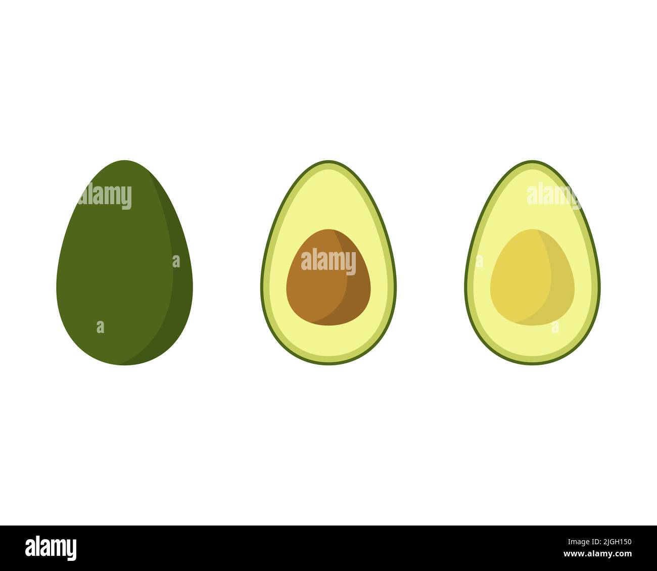 Avocado vector illustration isolated on white background Stock Vector