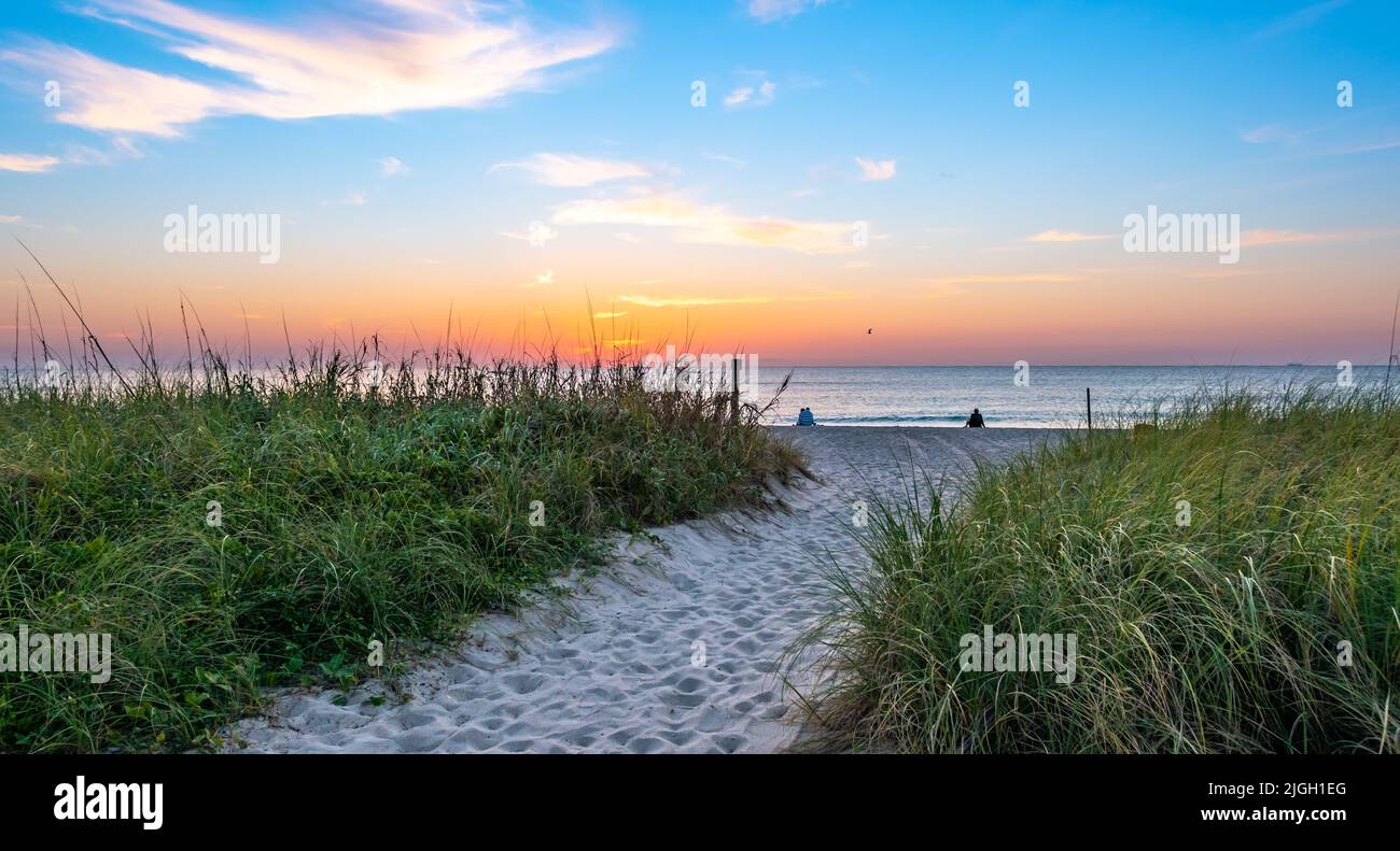 Beach and grass dunes at sunrise. Stock Photo