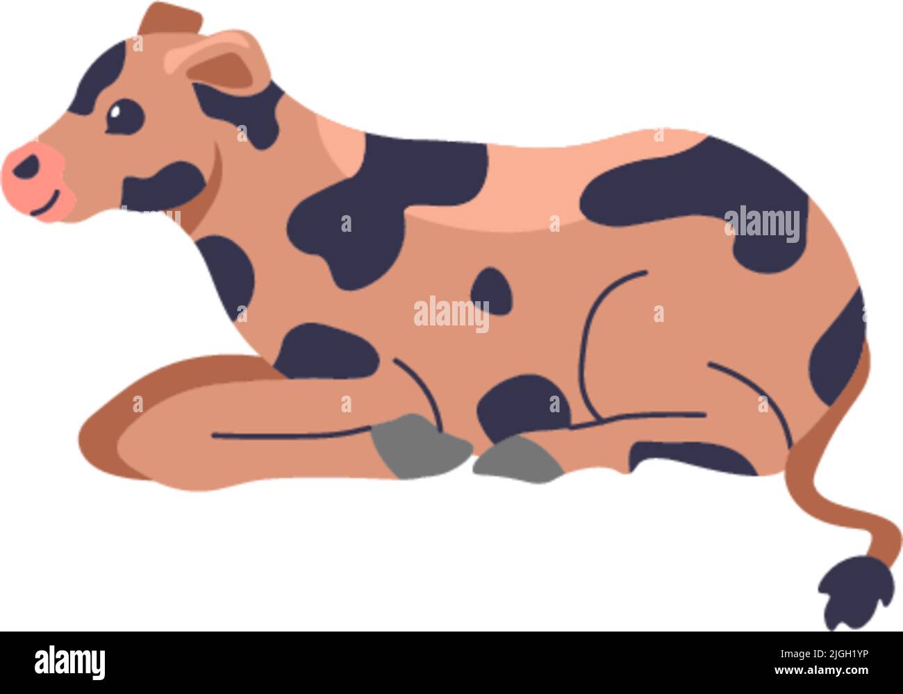 Calf with spots on fur, cattle livestock animal Stock Vector