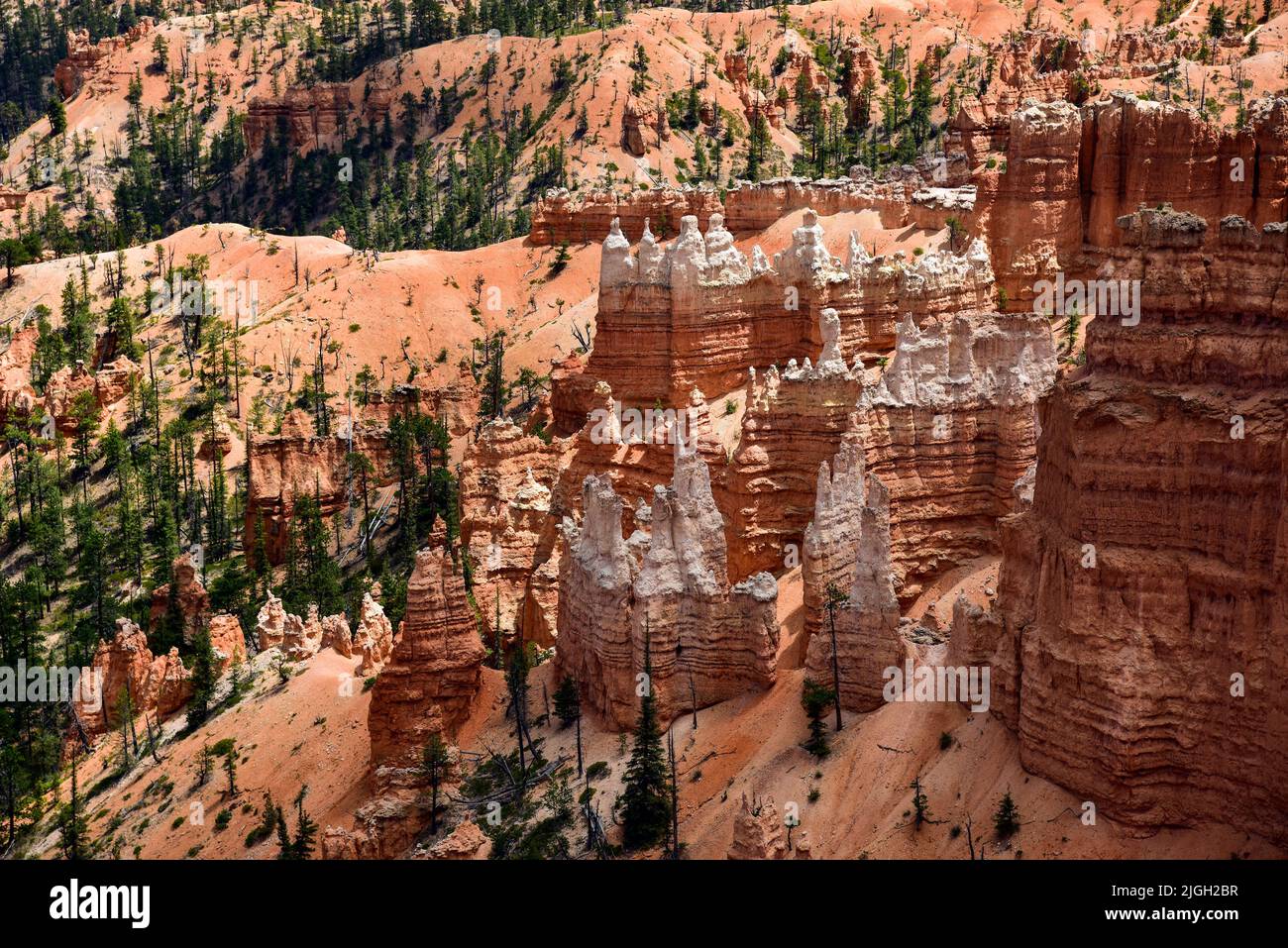 Bryce Canyon National Park, Utah Stock Photo