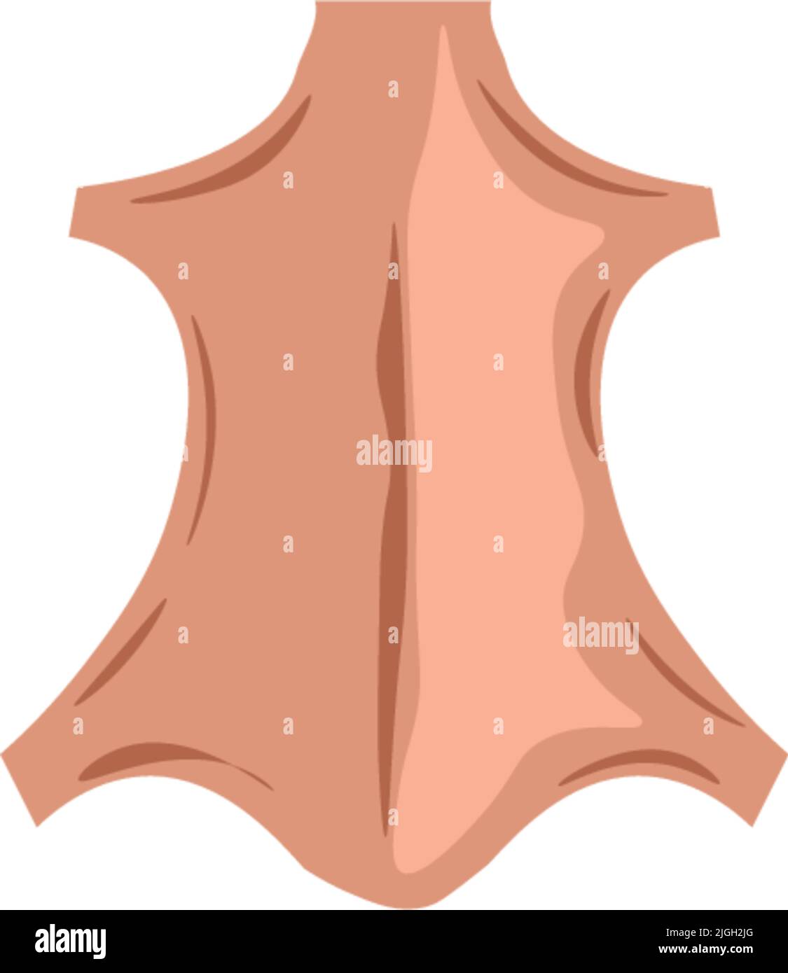 Real animal skin Stock Vector Images - Alamy