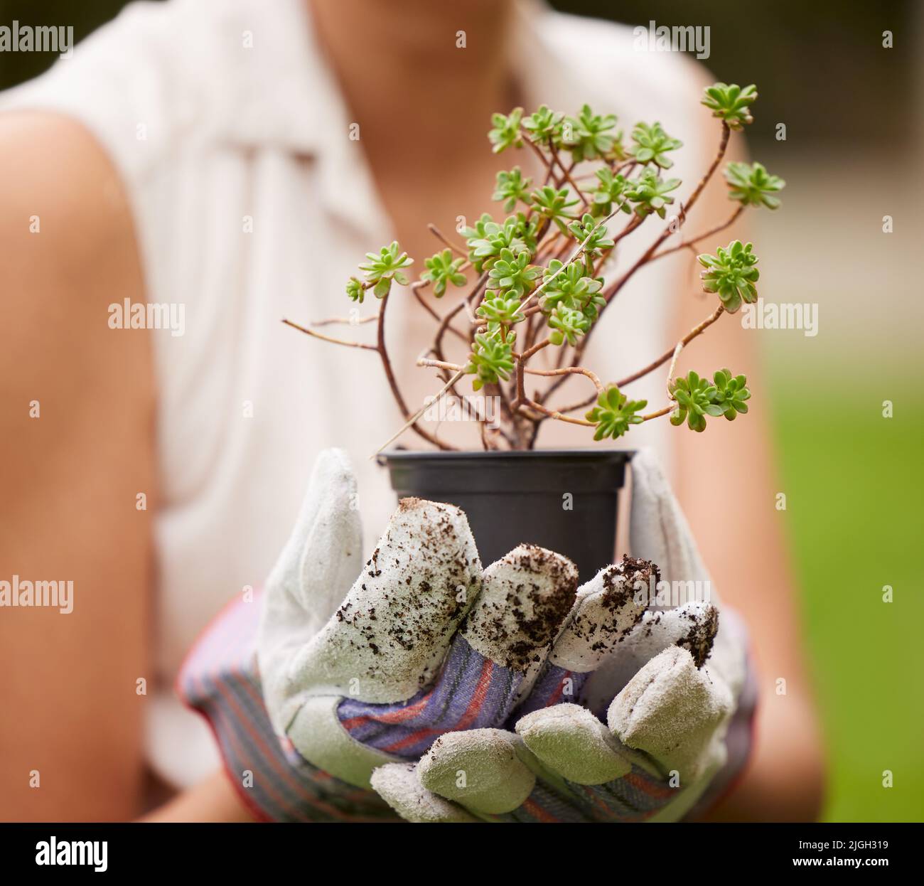 Youll be amazed at what you can accomplish with care. Closeup shot of an unrecognizable woman holding a plant in glove covered hands outside. Stock Photo