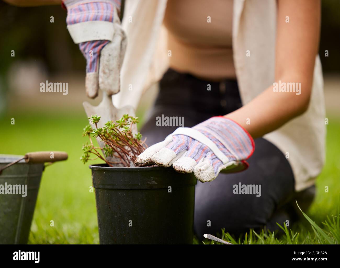 Its only comfort calling late. an unrecognizable woman kneeling while doing some gardening in the backyard. Stock Photo